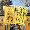 1/2/4Pcs Tai Sui Amulet Card 2026 General Wen Zhe Prayer Gold Card Chinese Taoism Exorcism Amulet Luck Card Portable