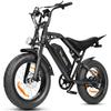 Electric Bike ESKUTE V202 20 Inch 250W 48V 20.8Ah