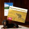 Monthly Layout Wall Calendar Wall Hanging Dogs Pooping Calendar New Agenda Schedule Organizer  Home