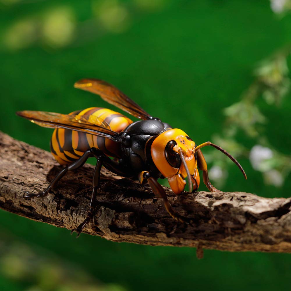Kaiyodo Rebogio Giant Hornet, Approximately 180mm in Length, PVC & ABS, Painted, Movable Figure, Resale, RG004S