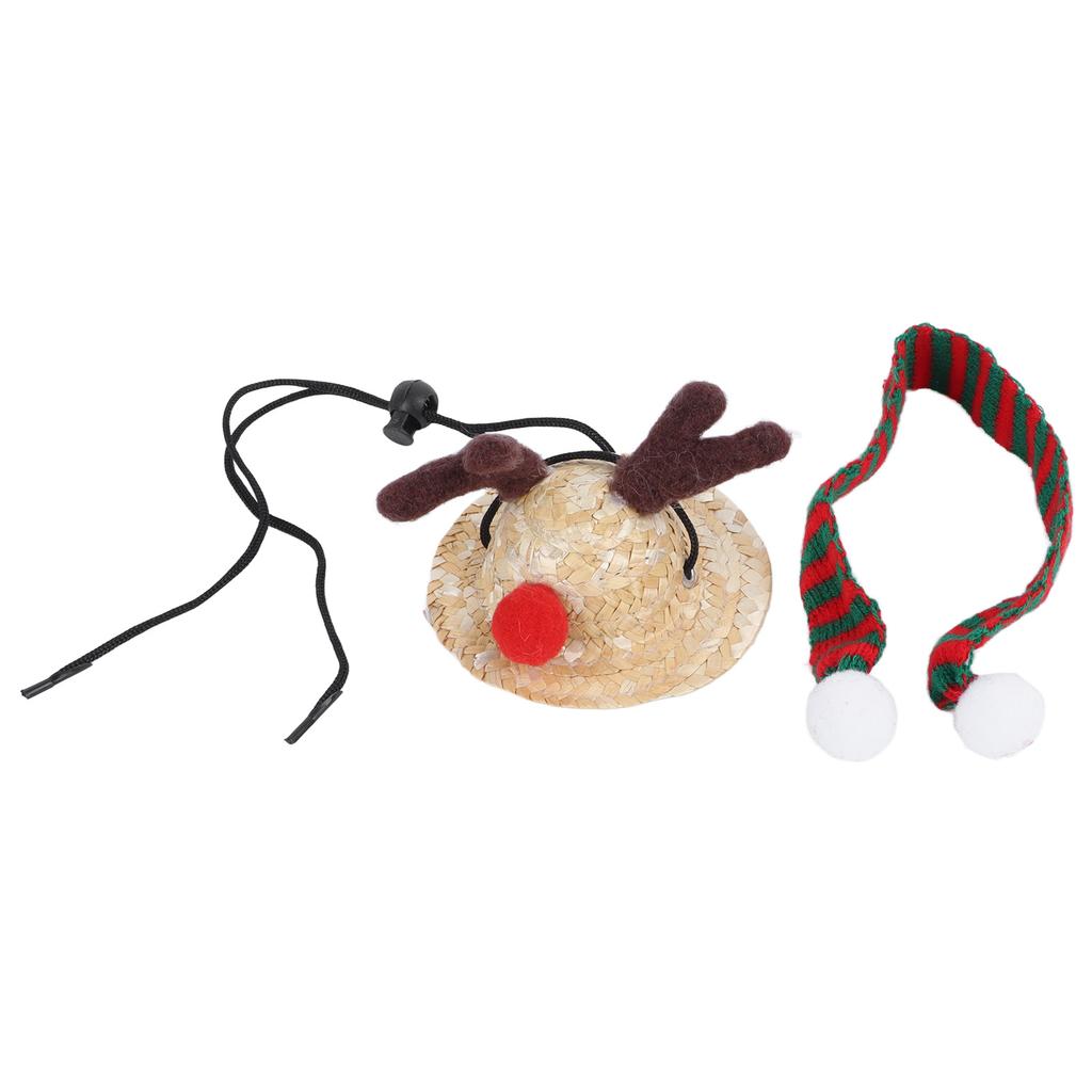 Bearded Dragon Santa Hat Cute Soft Scarf Adjustable Size Bright Colors Lizard Santa Hat with Scarf