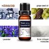 Nasal Bone Remodeling Massage Essential Oil Nose Lifting Up Straightening Serum Natural