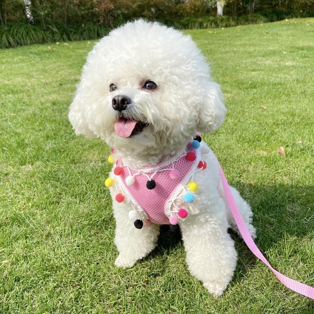 Colorful Ball Pet Harness Leash Adjustable Pet Walking Rope Durable Dog Harness Vest  Daily Use