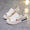 European-American Thick Wedge Heel Backless Sandals - Women's Lightweight PU Sole One-Strap Buckle Beach Slippers