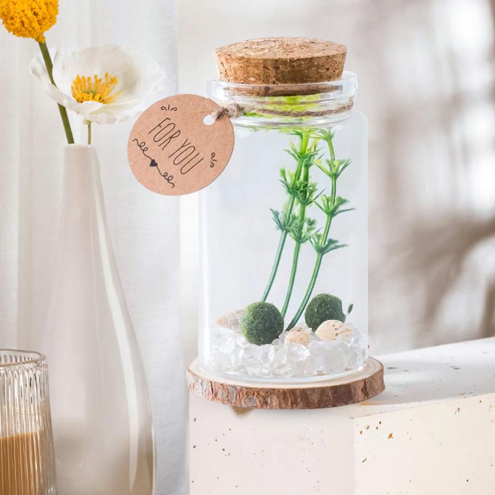 Micro Landscape Ecological Glass Bottle Terrarium Cylindrical Glass Terrarium Kit with Moss Balls Artificial Plant for Home