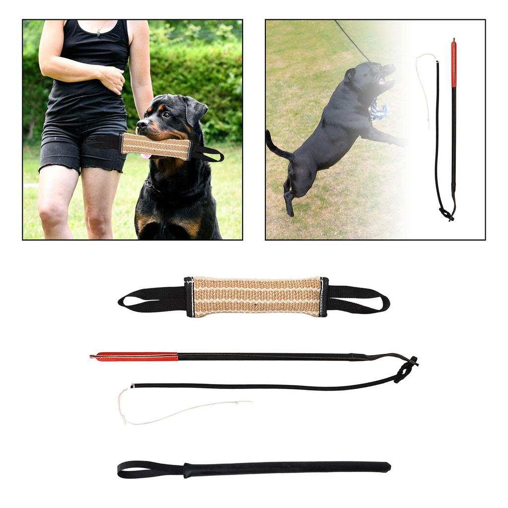 Welpentrainingsausrüstung, Hundekau-Trainingsspielzeug, Interaktives Welpentraining für mittelgroße bis große Hunde