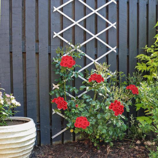 Grigliato da Giardino Espandibile 70 x 12 Pollici Pannello a Rete in Plastica per Piante Rampicanti Vite Edera Rosa Cetrioli Clematide Giardino Esterno