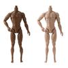 1/6 Bebek Gövdesi Hareketli Eklemli Süper Model Bebek 11 Eklemli 29cm Figür Gövdesi Erkek Model Süper Model Bebek Moda Bebek Çocuklar İçin Kendin Yap Oyuncak Hediye