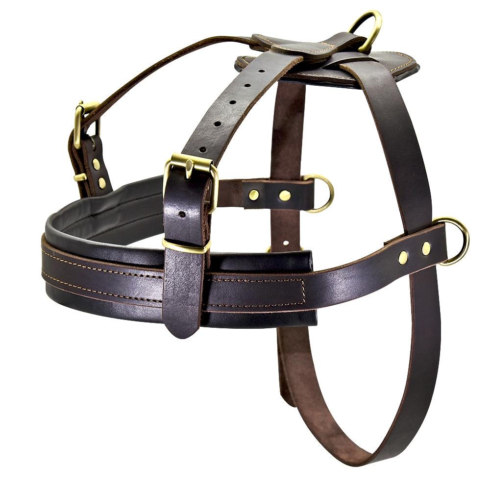 cesar millan harness medium