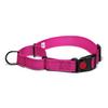 Adjustable Pet Dog Collars Safety Lock On Nylon Golden Retriever Neck Leash Accessories Outdoor 2 in 1 P Chain Pet Supplies
