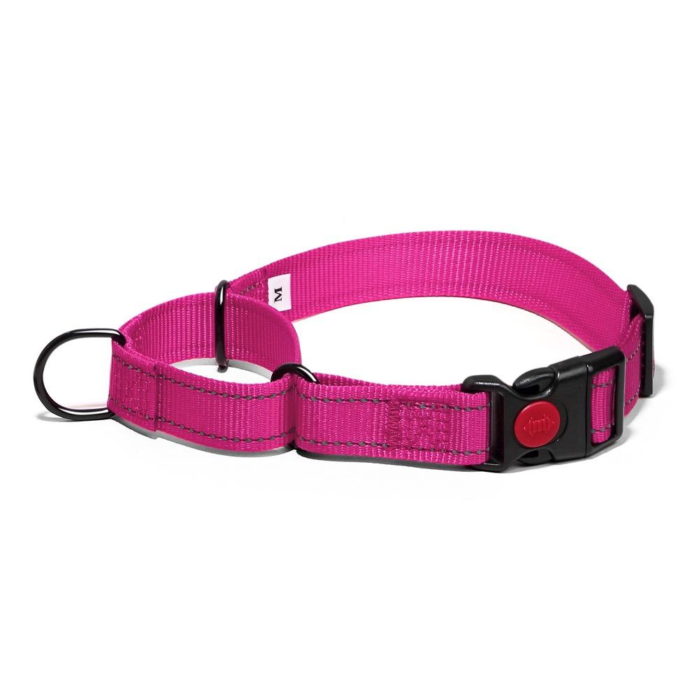 Adjustable Pet Dog Collars Safety Lock On Nylon Golden Retriever Neck Leash Accessories Outdoor 2 in 1 P Chain Pet Supplies