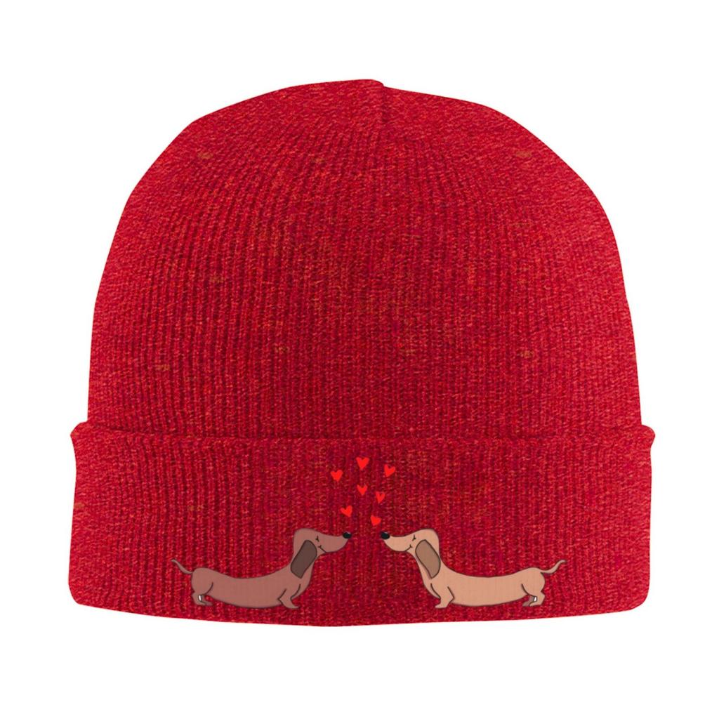 Couple of Dachshund Beanie Vintage Graphic Knit Hat Retro Streetwear Soft Warm FatherDay Gift Idea Present for Unisex and Woman