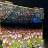 Handmade DIY Tulip Night Light 3D Magic Mirror – Perfect Birthday Gift for Couples or Friends