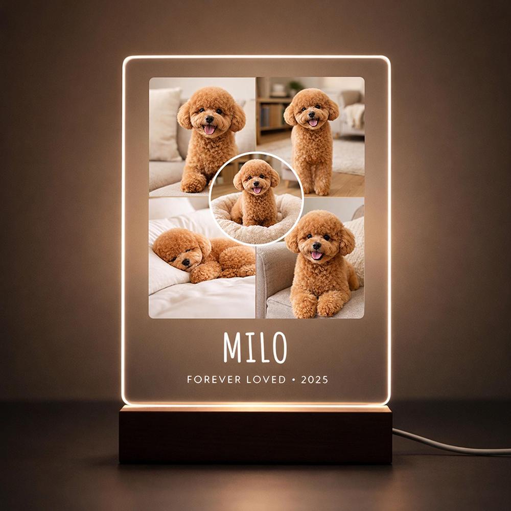 Custom Dog Cat Night Light Pet Photo Acrylic Light Unique Memorial Home Decor Bedside Light Custom LED Cute Pet Pattern Light