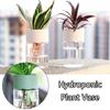 Shape Tabletop Ornament Water Planting Pot Hydroponic Plant Vase Flower Arrangement Plastic Vase