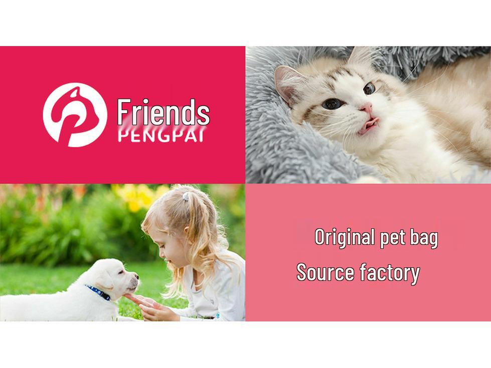 Large Breathable Foldable Cat and Dog Carrier Portable Travel Bag