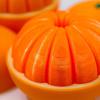 3D Printed Citrus Fruit Sensory Toy Twist Fidget Orange Ornaments Spiral Stress Relief Decompression Toy for Adults Students