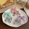 Spring New Floral Streamer Knot Hairpin Hair Band Small Fresh and Versatile Girl Side Bangs Broken Hairpin Ponytail Ring