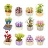 JAKI Succulent Plant Building Block Set