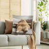 1pc 18x18 Inch Super Soft Short Plush Double-Sided Throw Pillow - Adorable Ginger Cat Lounging on Sofa Design