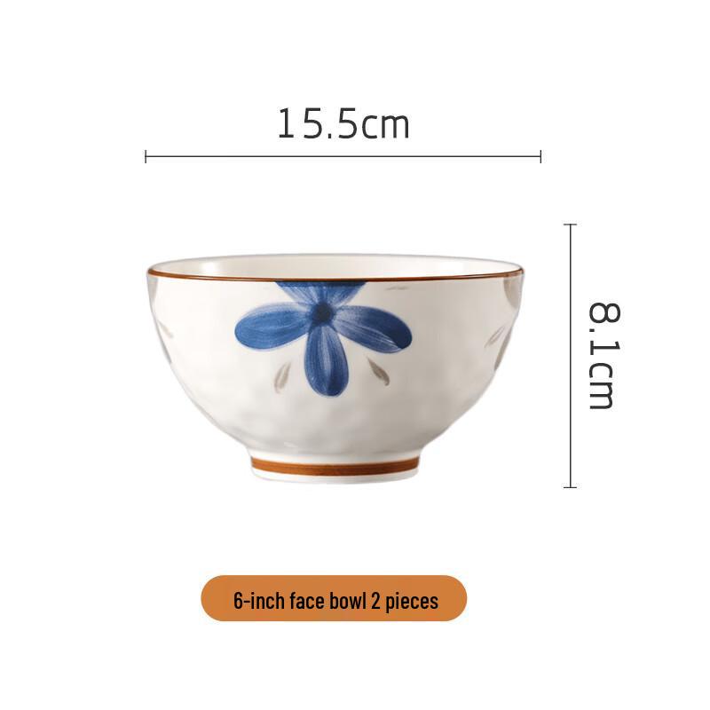 Hegawaya Japanese Ceramic Noodle & Rice Bowl Set