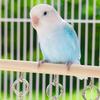 Birds Climbing Parakeet Loop Tunnel Wooden Bird Perch Swing Parrot Ladder  Cage Accessories