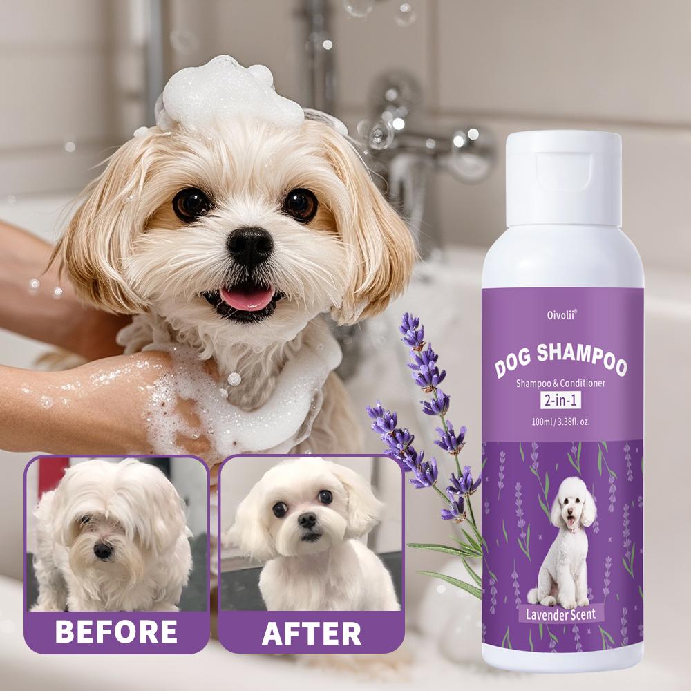 Haustier-Shampoo & -Spülung 2-in-1 Lavendelduft Erfrischend Glänzendes Fell für Alle Haustiere