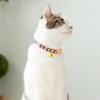 Colorful Cat Collar with Bell Pendant Adjustable Fashion Puppy Neck Strap Delicate Safety Kittens Necklace Pet Accessories