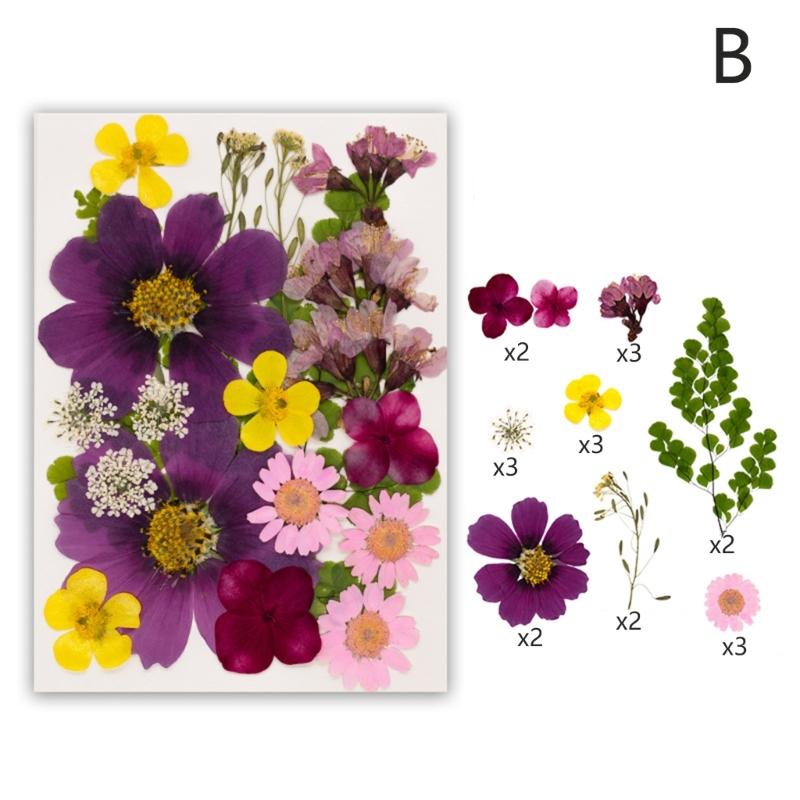Dried Flower Leaf Kits for Epoxy Jewelry Molds Scrapbooking Supplies and Artistic Soap Making Phone Case Decoration