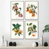 Kitchen Donut Macaron Pizza Sushi Burger Plant Posters Creative Canvas Painting and Prints Wall Art Pictures Home Decor Gifts No Frame
