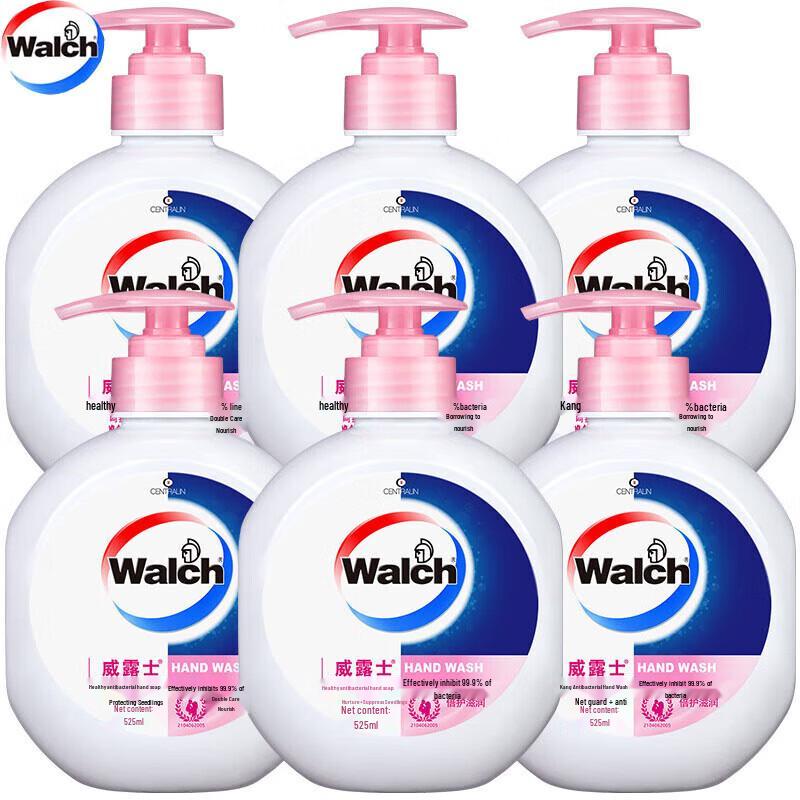 

Walch Healthy Antibacterial Hand Soap Family Pack