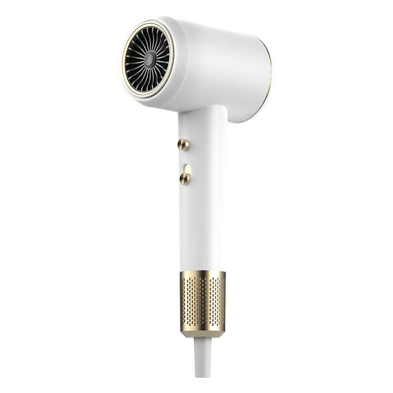 Professional Hair Dryer for Home, Dorm, and Salon Use