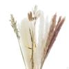 30-Piece Handpicked Dried Grass Bundle - Decor Collection