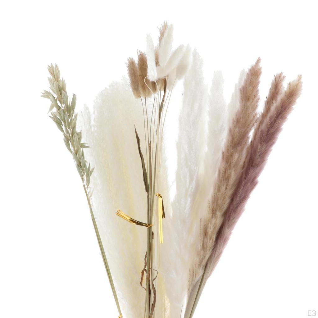 30-Piece Handpicked Dried Grass Bundle - Decor Collection