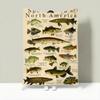 Vintagefreshwaterfishchart Throw Lightweight 240G Flannel Blanket Soft Skin-Friendly For Summer Cooling