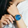 Watch Quartz TS1602C Genuine Import Brown [Tax] DAY&NIGHT