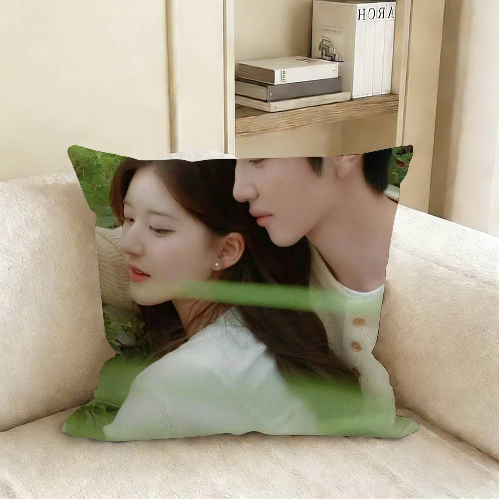 

Hidden Love Duan Jiaxu Sang Zhi Pillow Cover Sofa Cushion Cover Home Room Decoration Children Gift 30x30cm