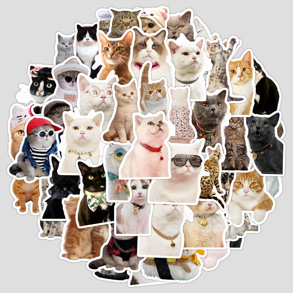 50 Cartoon Cute Kitten Emoticon Pack Graffiti Stickers Mobile Phone Case Hand Account Computer Suitcase Stickers