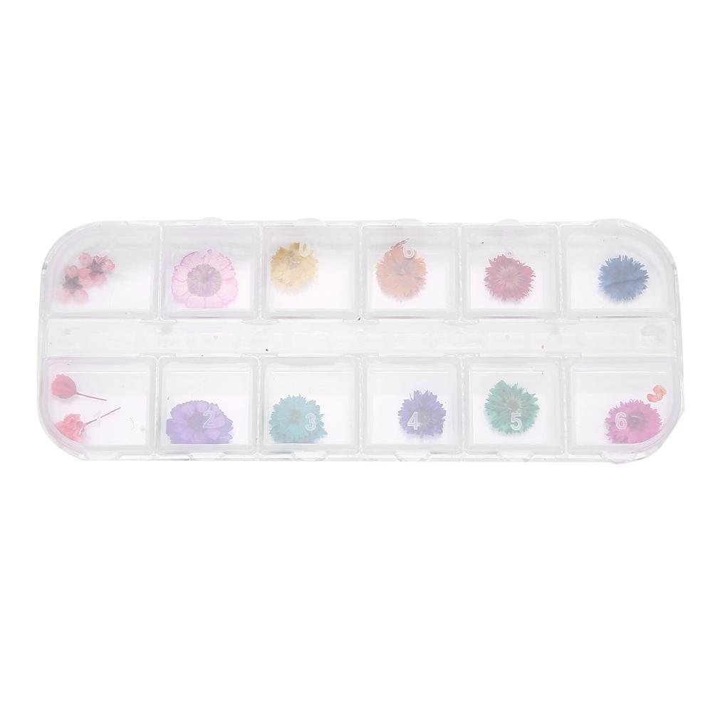 

12 Colors Box Dried Flower Nail Decoration DIY Nail Art Decoration AccessoriesD Style