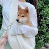Crossbody Bag Cat Carrier Bags Cat Dog Sling Bag Shoulder Bag Puppy Carrier Bag  Pet Carrying
