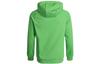 Nike Sweatshirts Men's Green Hooded Moderate Regular CZ2426-304