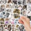 64 Autocollants Mignons de Dessins Animés: Chats et Chatons pour Décoration - Parfait pour les Valises, les Guitares, les Coques de Téléphone