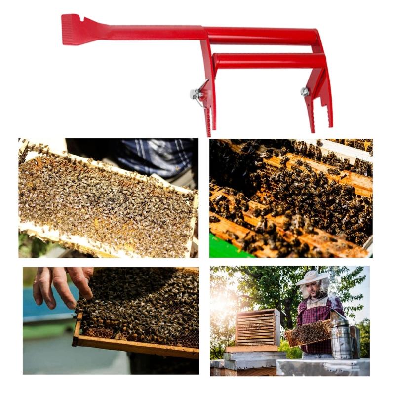 Durability Stainless Steel Bees Hives Tool with Scraper and Colored Handle for Easy Identification and Comfortable Grip