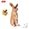 Oenux Lovely Farm Rabbit Bunny Model Action Figure Figurine Wild Desert Cottontail Hare Cute PVC Decoration Education Kid Toy