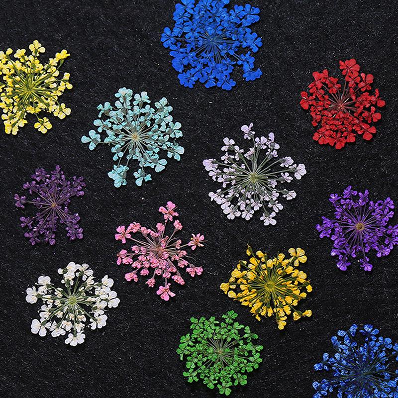 Flower Nail Art Decoration Real Mini Dried Blossom Natural Floral Stickers Nail Charms Diy Manicure Nails Accessories Home Salon