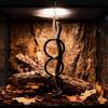 3 Ring Reptile Climbing Toy Acrylic Climbing Hoop Chain Gecko Climbing Rings  Vivarium Cage