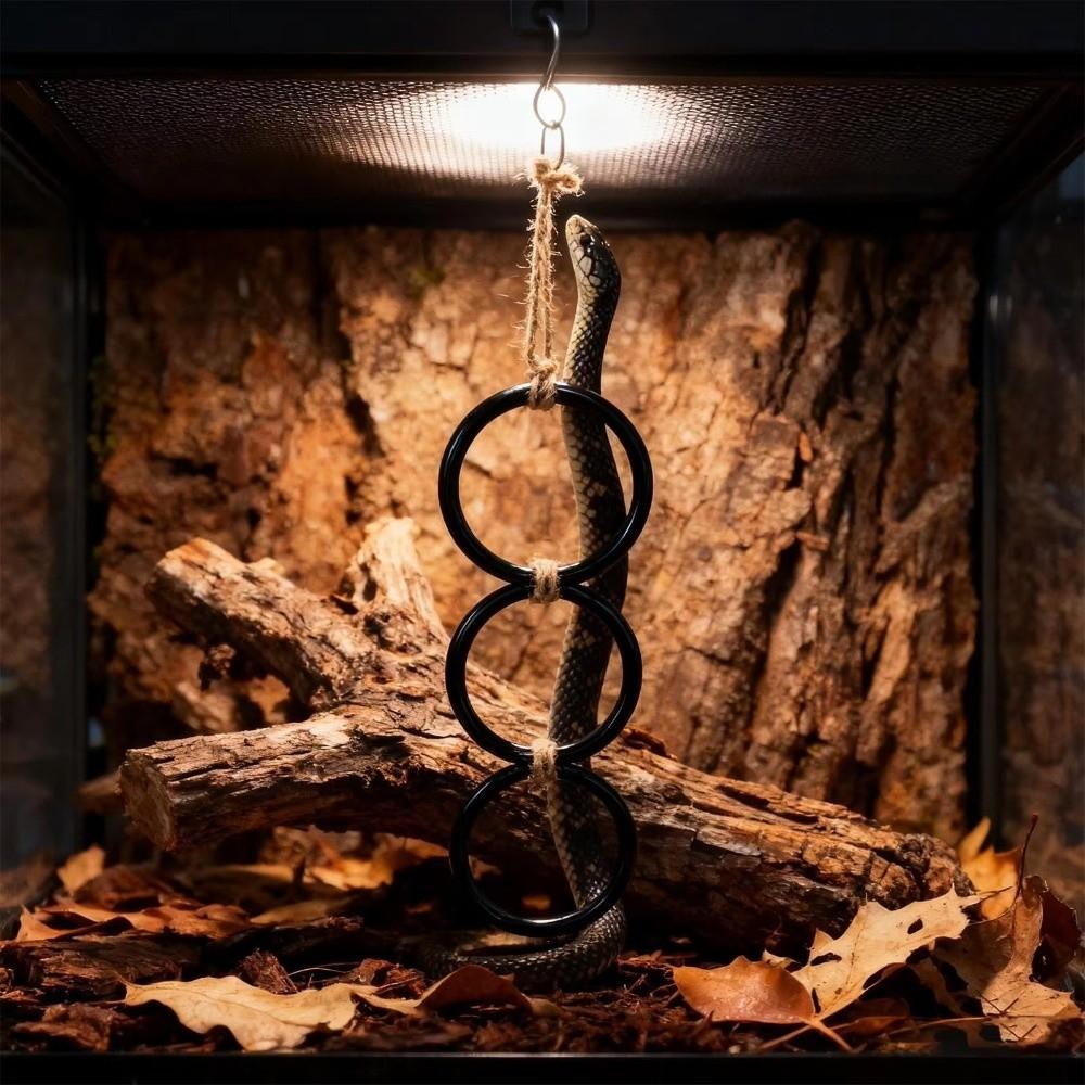 3 Ring Reptile Climbing Toy Acrylic Climbing Hoop Chain Gecko Climbing Rings  Vivarium Cage