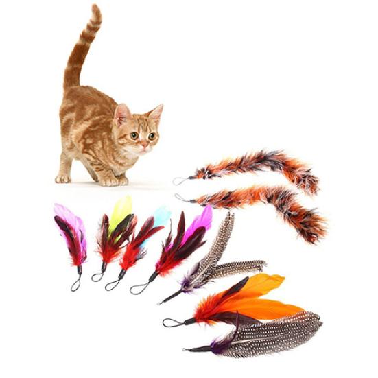 9 Pcs Multi Piece Replacement Feather Teaser Kitten Toy Interactive for Cats Wand