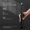 Lebond Star Diamond Smart Sonic Toothbrush