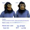 Animal Masks: Eagle, Rooster, Pig, Rabbit, Horse, Elephant, Crow, Tiger, Dinosaur, Pigeon, Wolf Headgear